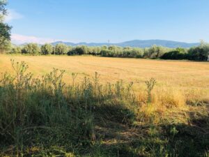 Read more about the article “Ξεθωριάζει” το ενδεχόμενο άμεσης πληρωμής 160 εκ. ευρώ, λόγω κάλπης οι όποιες ελπίδες