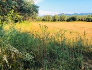 Read more about the article Ανδριανός: Προγραμματισμός για άνοιγμα ΟΣΔΕ έως 22/06, εξετάζεται το πλαίσιο της Κάρτας Αγρότη