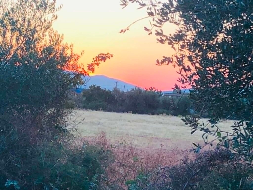 Στην... τελική για πληρωμές νέων αγροτών, Μ16 - βγήκαν εγκρίσεις ποσών