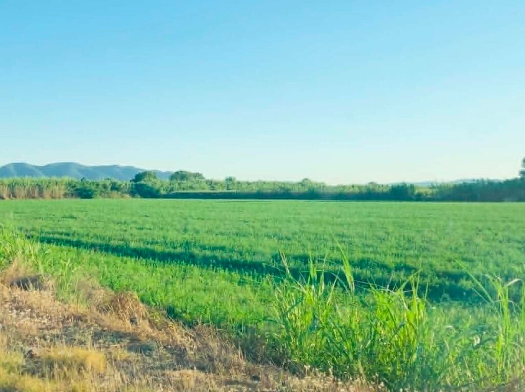 Σχέδια Βελτίωσης: Την επόμενη εβδομάδα η πρόσκληση – Στα 263 εκατ. ευρώ η συνολική δαπάνη