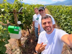 Read more about the article Παρακολούθηση real time σε αμπελοκαλλιέργειες με τεχνητή νοημοσύνη
