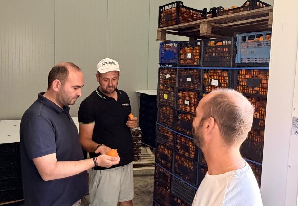 Read more about the article Επίσκεψη Βασιλειάδη σε συνεταιρισμούς, ομάδες, διαλογητήρια – πότε θα πληρωθούν οι αποζημιώσεις