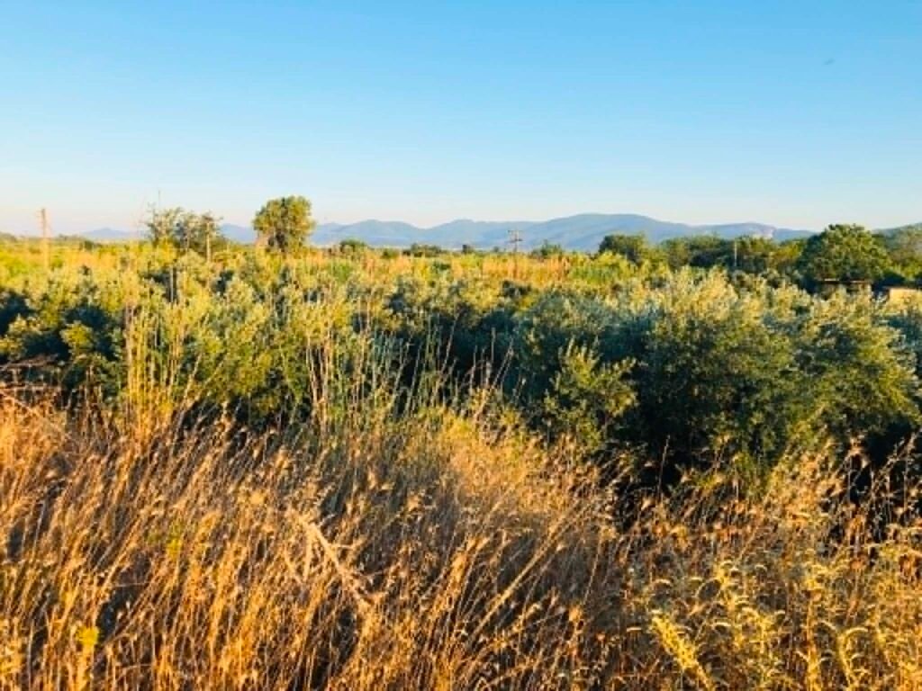 Βγήκαν τα αποτελέσματα για την Παρέμβαση Π3-75.1 «Εγκατάσταση Γεωργών Νεαρής Ηλικίας»