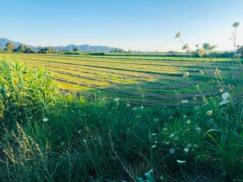 Σε παραγωγική λειτουργία το Σύστημα Ελέγχου Διπλής Χρηματοδότησης