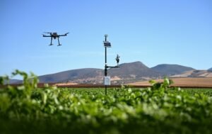 Read more about the article Ολοκληρώθηκε το Έργο «Γεωργία με Ευφυΐα»