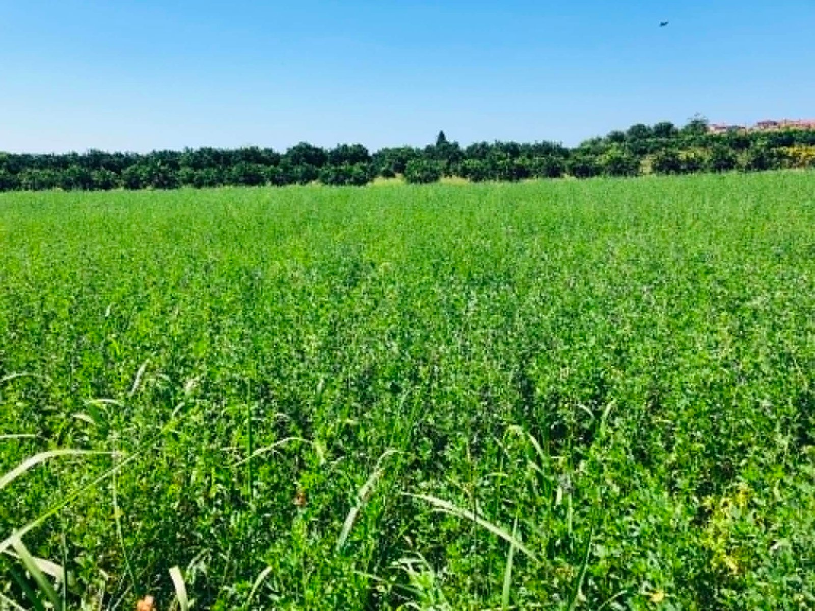Read more about the article Σε ΦΕΚ λεπτομέρειες για το myAGRO ΑΑΔΕ της ΕΑΕ, ως 16/10 δηλώσεις – πότε θα γίνουν πληρωμές