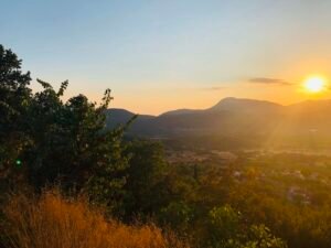 Read more about the article Η ΔΑΟΚ Περιφέρειας Θεσσαλίας για την προστασία της καλλιέργειας καστανιάς