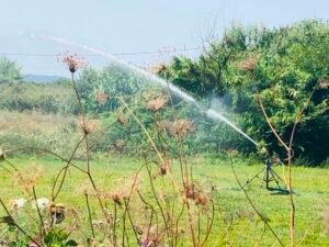Read more about the article Άρδευση με επιδότηση έως 70%: Ποια συστήματα νερού χρηματοδοτούνται