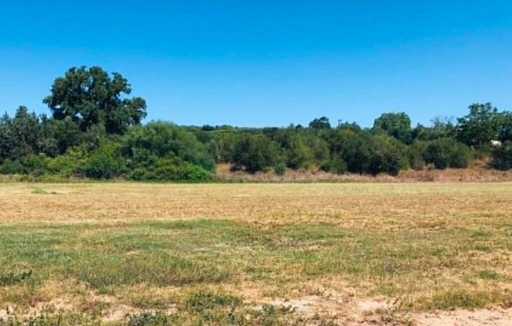 Θα απαιτηθεί χρόνος για να "τρέξει" όπως πρέπει το ΟΣΔΕ του 2026