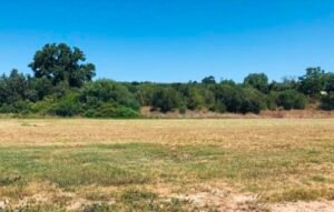Read more about the article Έως τα 250 ευρώ έχουν εκτοξεύσει τα ενοίκια των χωραφιών τα φωτοβολταϊκά
