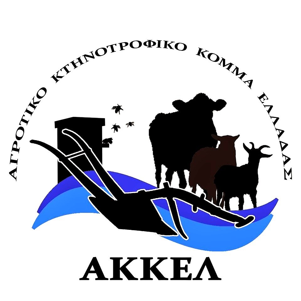 Read more about the article ΑΚΚΕΛ: Η επαναπιστοποίηση δεν είναι κυβερνητικό επίτευγμα