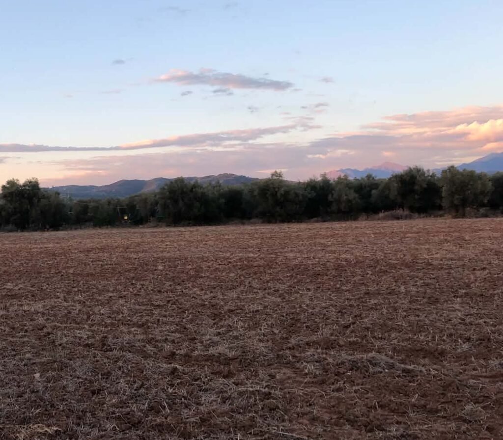 Όλες οι αλλαγές για το αγροτικό πετρέλαιο σε υπό διαβούλευση νομοσχέδιο