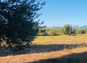 Read more about the article Ένταξη πράξεων με τα στοιχεία του Παραρτήματος ΙΙ της παρούσας στην Παρέμβαση Π3-75.1