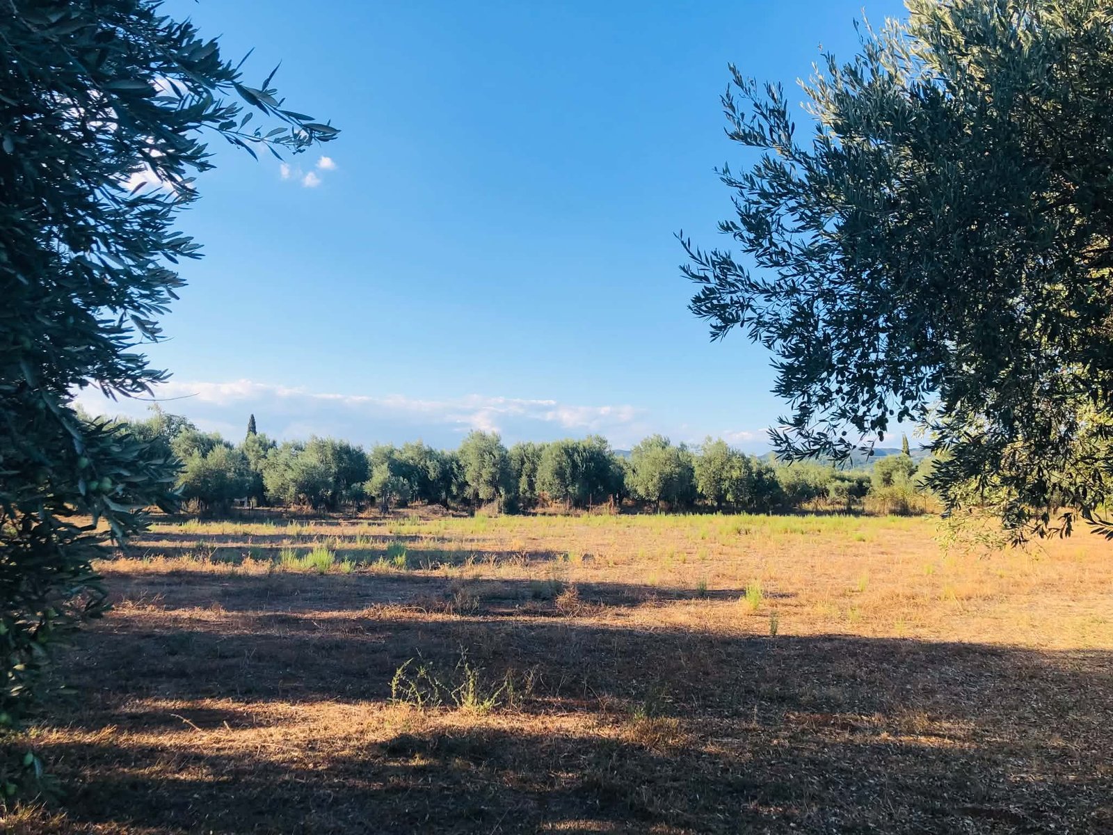 Read more about the article Αποτελέσματα για Νέους Αγρότες στην Περιφέρεια Νοτίου Αιγαίου
